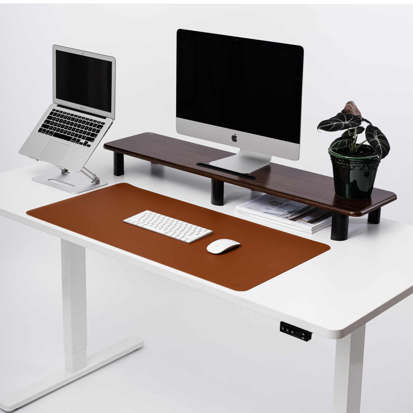 Sit stand up desks