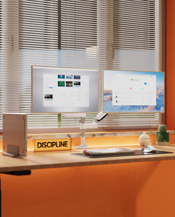 Dual Monitor Arm Ergonomic for Desktops VESA Mount