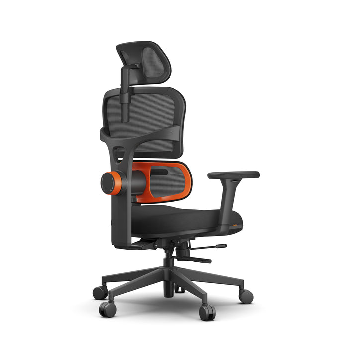 Newtral Ergonomic Home Office Chair with Auto-Following Lumbar Support
