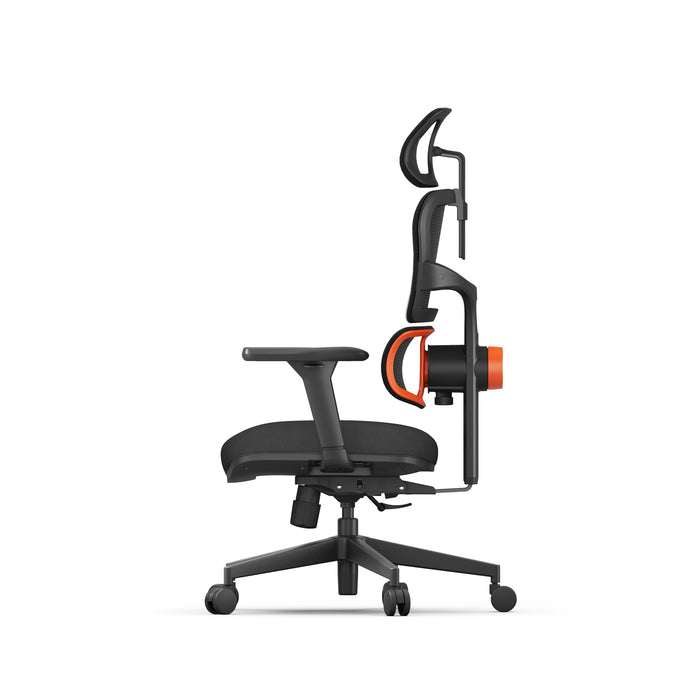 Newtral Ergonomic Home Office Chair with Auto-Following Lumbar Support