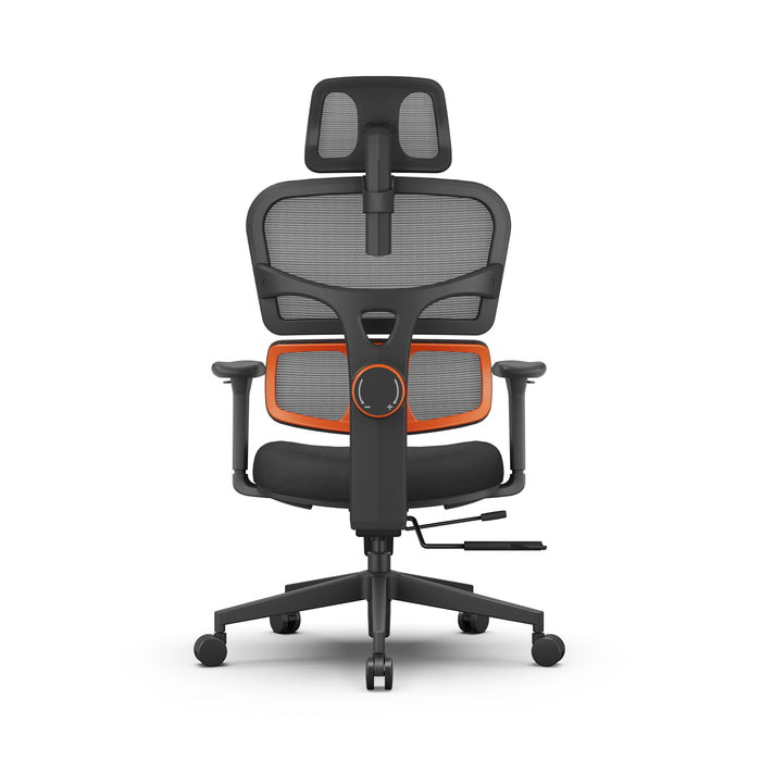 Newtral Ergonomic Home Office Chair with Auto-Following Lumbar Support